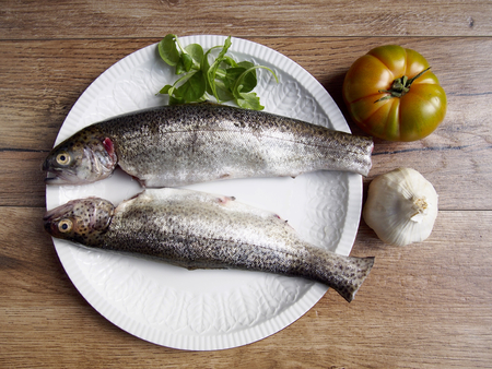 Two raw trout in a plateの写真素材