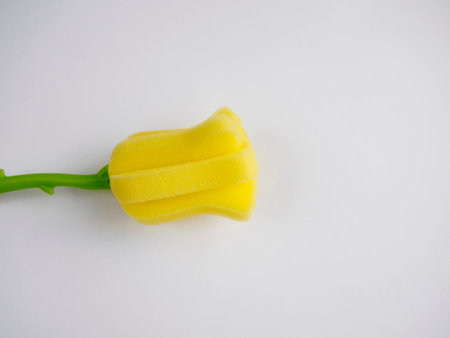 Flower-shaped sponge to wash the glasses on white background