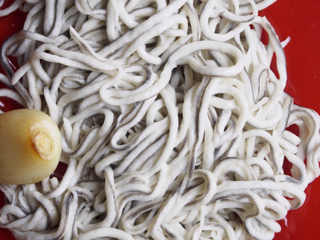 Baby eels with garlic on red plateの写真素材
