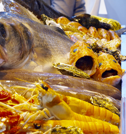 Fish and seafoodの写真素材