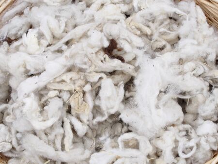 White wool without carding textureの写真素材