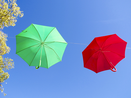 Variety of colorful umbrellasの写真素材