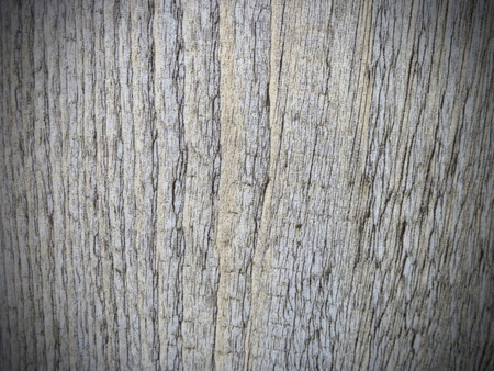 Wood textureの写真素材