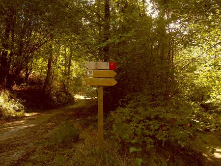 Sign on the path in the fall forestの写真素材