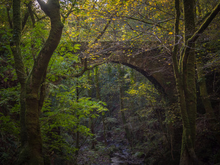Brige of Eume Fragas in Galicia