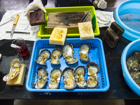 Oyster in the farmer to make the pearlsの写真素材