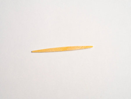 Toothpick on white backgroundの写真素材