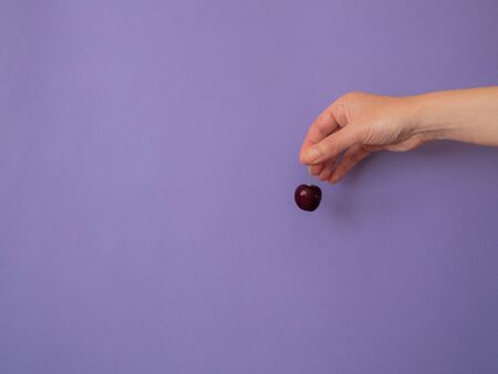 Hand with cherry on purple background with copy spaceの写真素材