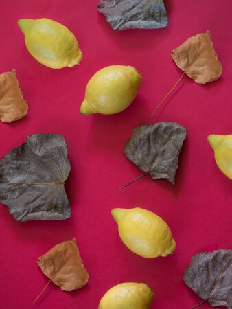 Lemons and fall leaves  pattern on red backgroundの写真素材