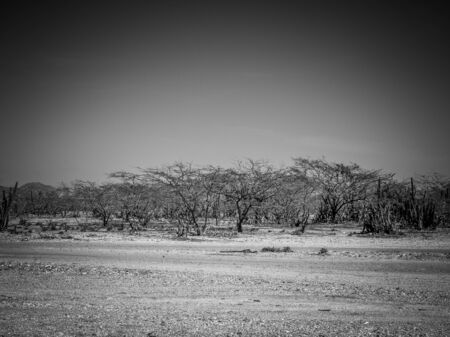 La Guajira desert in Colombia in black and whiteの写真素材