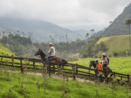 Cocora valley - Colombia, November 4, 2019 - Tourist enjoying in Cocora Valley in Colombiaのeditorial素材