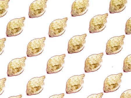 Rotten lemon pattern on whiteの写真素材