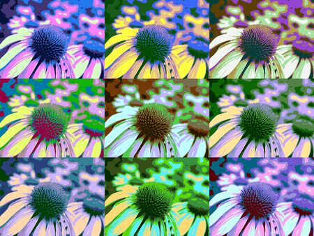 Flower background in several colorsの写真素材