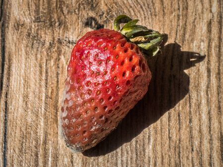 Rotten strawberry on wood backgroundの写真素材