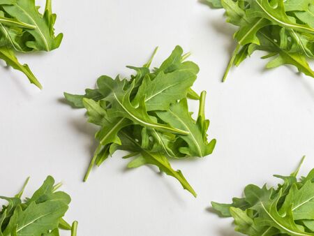 Arugula pile pattern on whiteの写真素材
