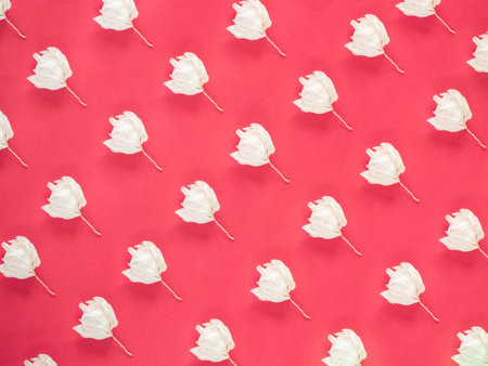 White dry flowers pattern on red background