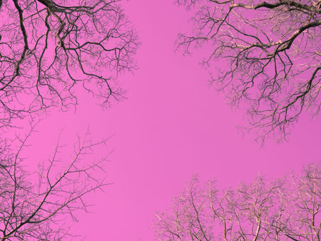 Brunches on pink sky with copy space