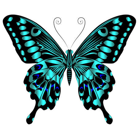 Beautiful bright green butterfly. Vector illustration isolated.のイラスト素材