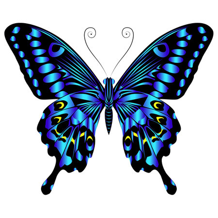 Beautiful bright blue butterfly. Vector illustration isolated.のイラスト素材