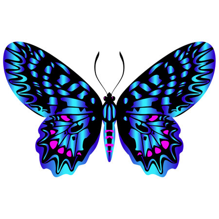 Beautiful bright blue butterfly. Vector illustration isolated.のイラスト素材