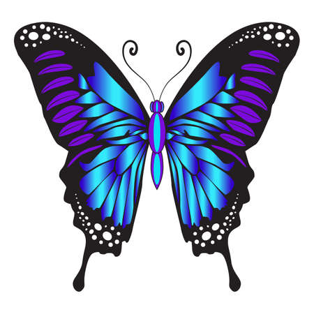 Beautiful bright blue delicate butterfly. Vector illustration isolated on white background.のイラスト素材