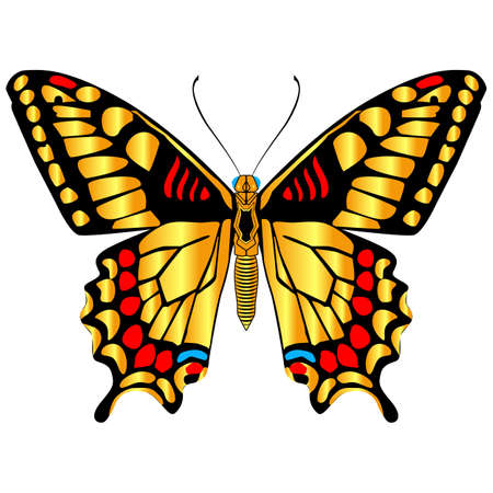 A beautiful, delicate and airy butterfly of yellow color. Vector graphics on a white background.のイラスト素材