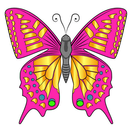 Bright beautiful decorative pink butterfly. Vector illustration isolated on white background.のイラスト素材