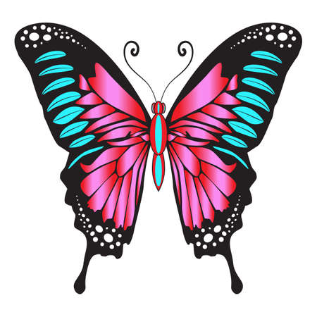 Bright beautiful decorative pink butterfly. Vector illustration isolated on white background.のイラスト素材