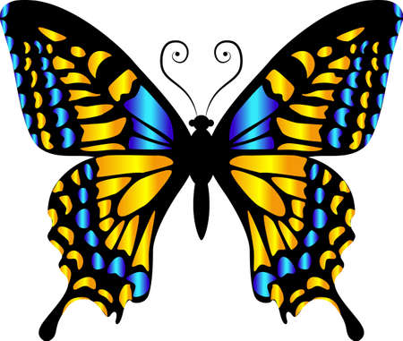 Beautiful bright yellow butterfly. Vector illustration isolated.のイラスト素材