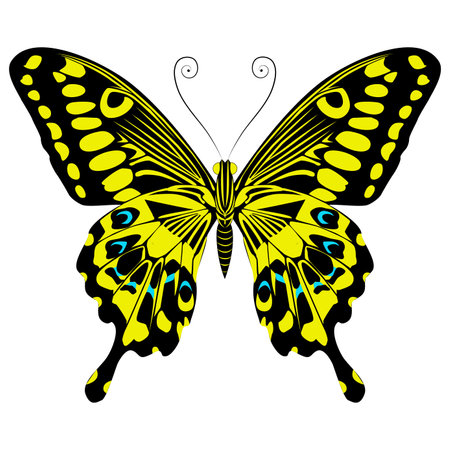 Beautiful bright yellow butterfly. Vector illustration isolated.のイラスト素材