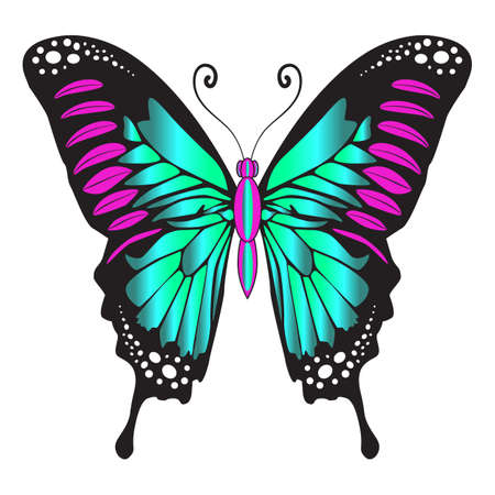 Beautiful bright green butterfly. Vector illustration isolated on white background.のイラスト素材