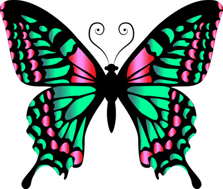 Beautiful bright green butterfly. Vector illustration isolated.のイラスト素材