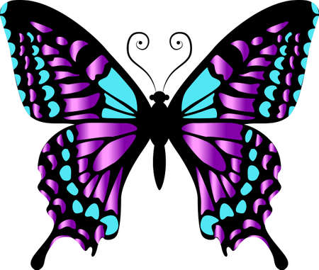 Beautiful bright purple butterfly. Vector illustration isolated.のイラスト素材