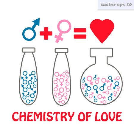two chemical flasks with men and women  signs. chemistry of love conept. vector illustration on white background. element for greeting and invitation card, logo, poster, etc.のイラスト素材
