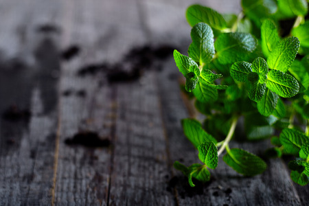 Pepper mint on old rustic wood backgroundの写真素材
