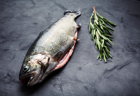 Raw fresh gutted rainbow trout with sprig of rosemary. Preparation for cooking delicious fish on dark background.の写真素材