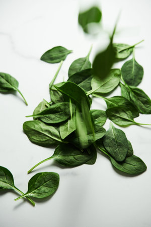 A bunch of Fresh baby spinach leaves on white marble background.の写真素材