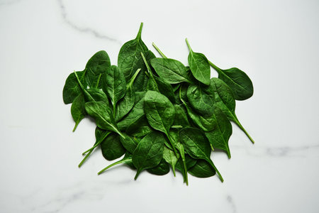 A bunch of Fresh baby spinach leaves on white marble background.の写真素材