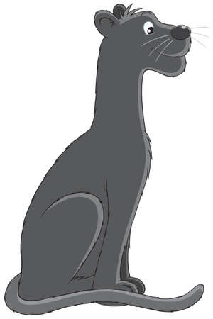 Black Pantherのイラスト素材