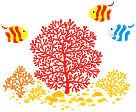 Corals and fishesのイラスト素材