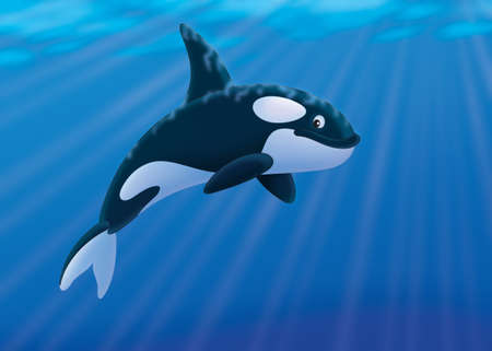 Orcaの写真素材