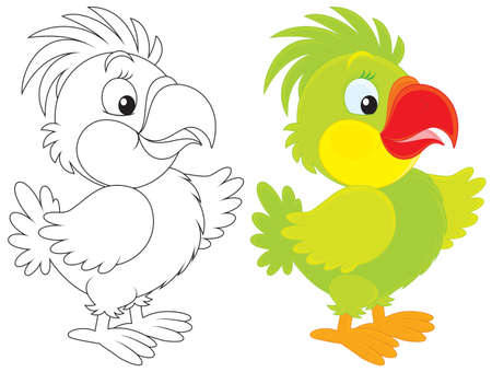 Parrotのイラスト素材