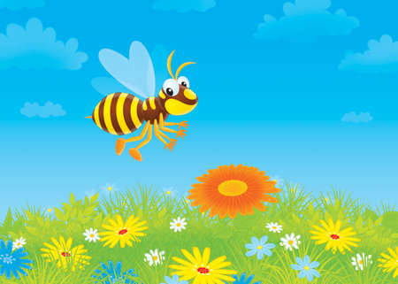 wasp flying over colorful wildflowersの写真素材
