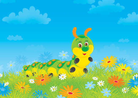 Funny caterpillar among field flowersの写真素材
