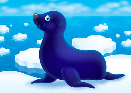 Fur seal lying on a border of a polar glacierの写真素材