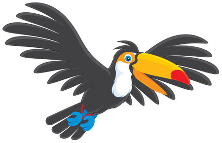 Toucan flyingのイラスト素材
