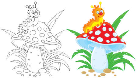 Caterpillar and fly agaricのイラスト素材