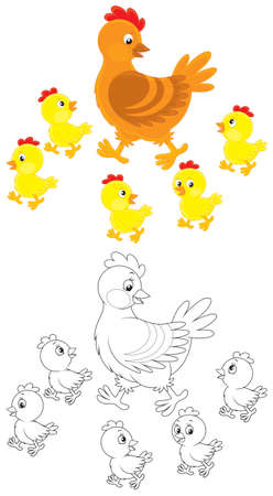 Hen and chicksのイラスト素材