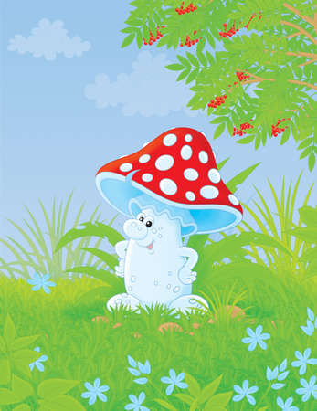 Fly agaricの写真素材