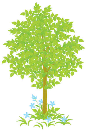Green tree and grass with blue flowersのイラスト素材